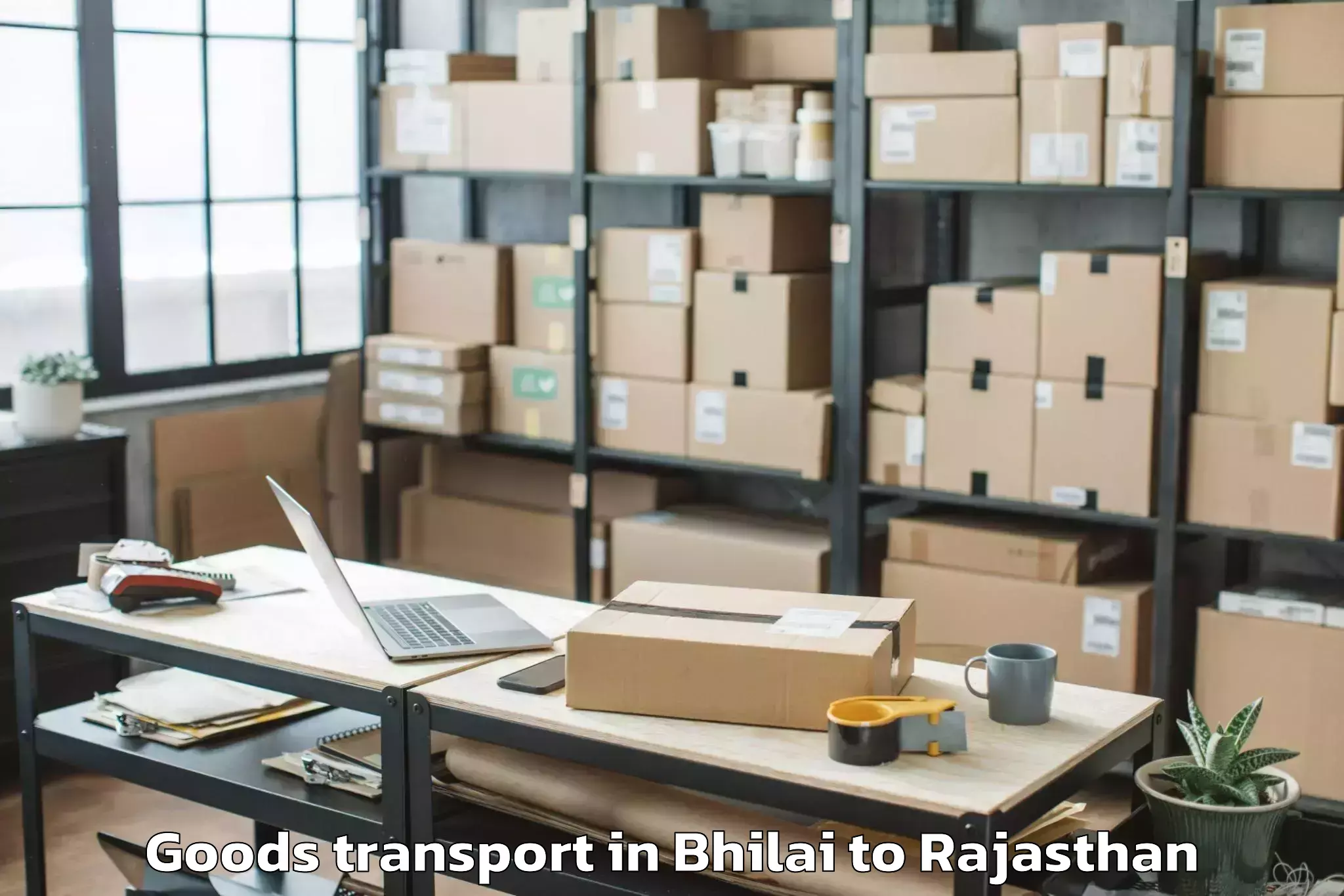 Efficient Bhilai to Churu Goods Transport